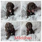 Mädchen