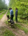 Deutsche Schäferhündin sucht zuhause