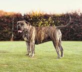 Groote Heide BonBon - HERA