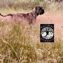 Profile photo of the user Wolfsberg Boerboels