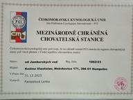 Appenzeller Sennenhund - FCI-Welpen