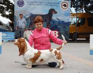 Basset hound puppies Queen´s Hermelín kennel - Basset Hound (163)