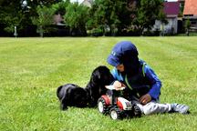 CANE CORSO Welpen mit FCI pedigree - Cane Corso Italiano (343) CANE CORSO Welpen mit FCI pedigree - Cane Corso Italiano (343)